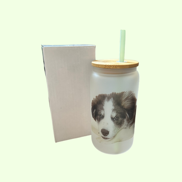 16oz Frosted Glass Tumbler