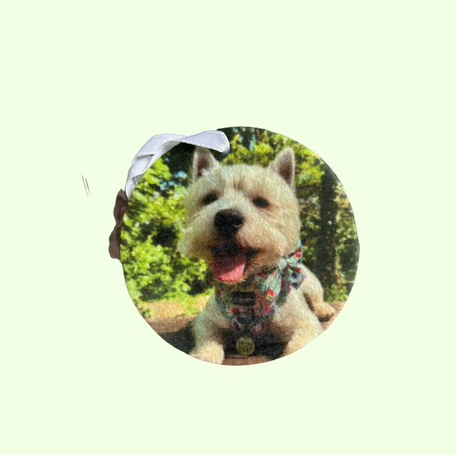 Unscented Air Freshners