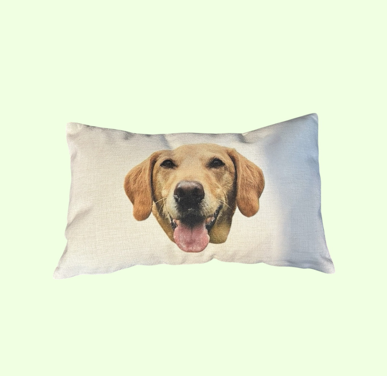 Cushion Cover