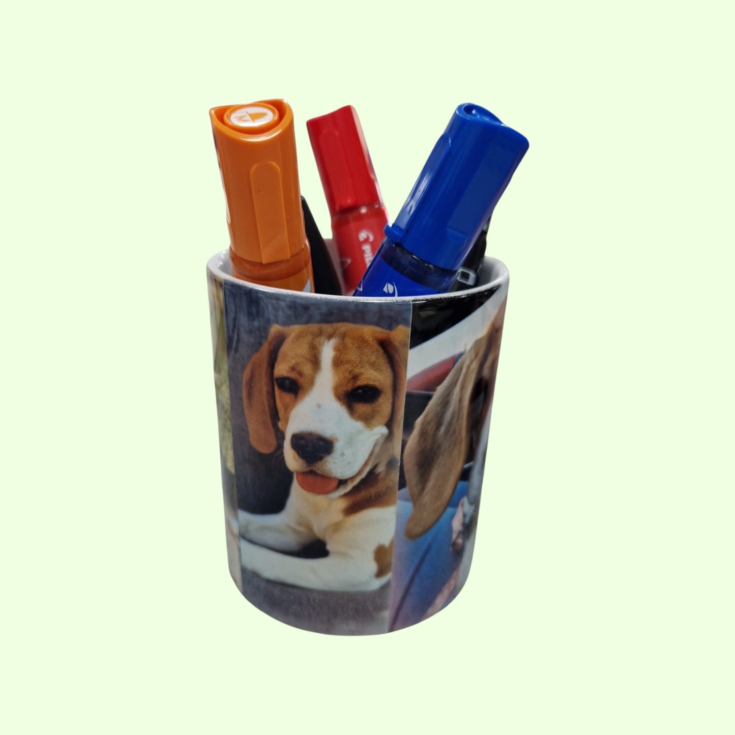 Office Bundle