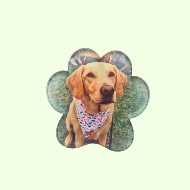 Acrylic Air Freshener (Attaches to Car Vents)