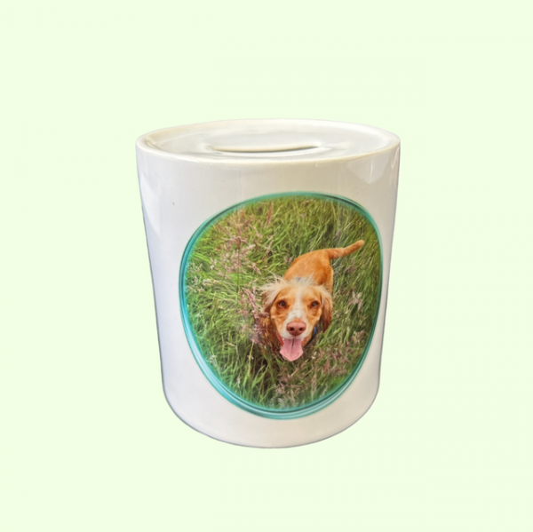 Ceramic Money Pot