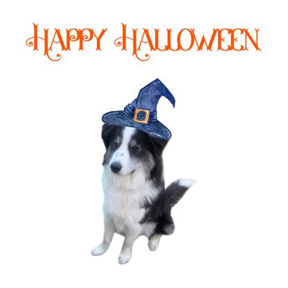 Happy Halloween