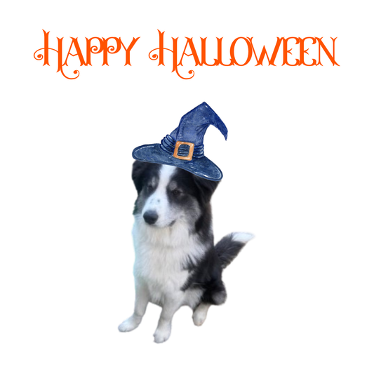 Happy Halloween