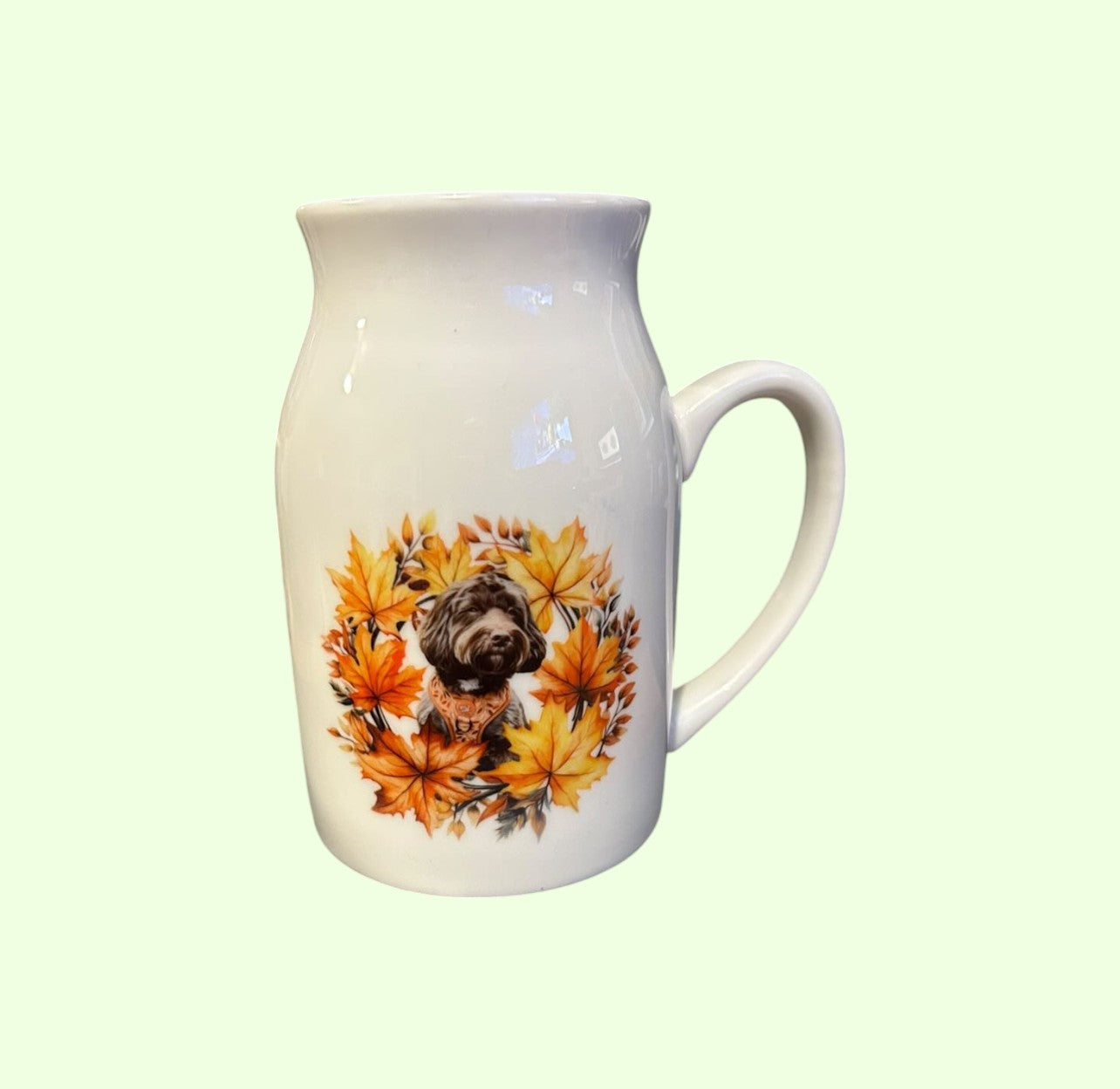 Milk Jug/ Vase