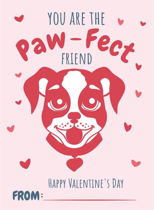 You are the paw-fect friend Greetings Card