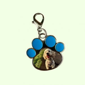 Pet Tags