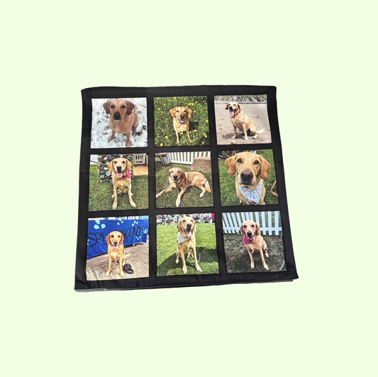 Panelled Cushion Cover