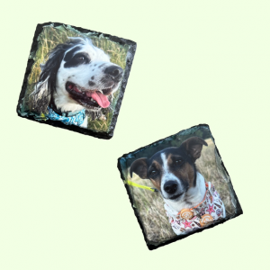 Slate Coaster