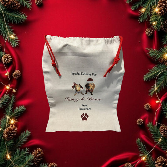 Christmas Santa Sack