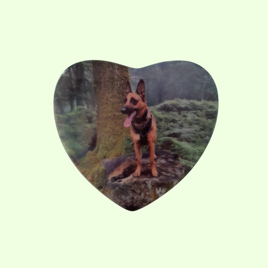Fridge Magnet