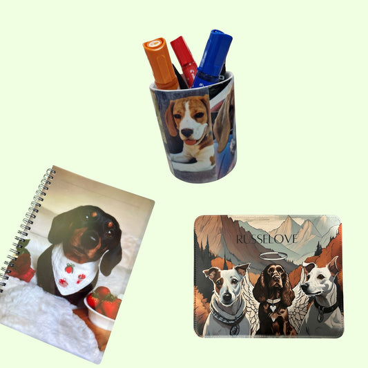 Office Bundle