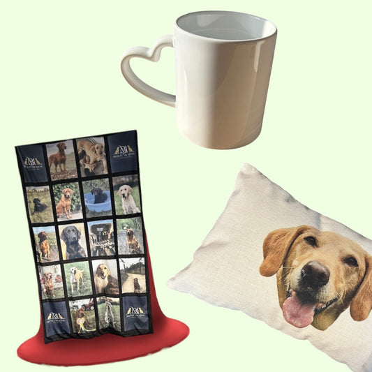 Cozy Bundle