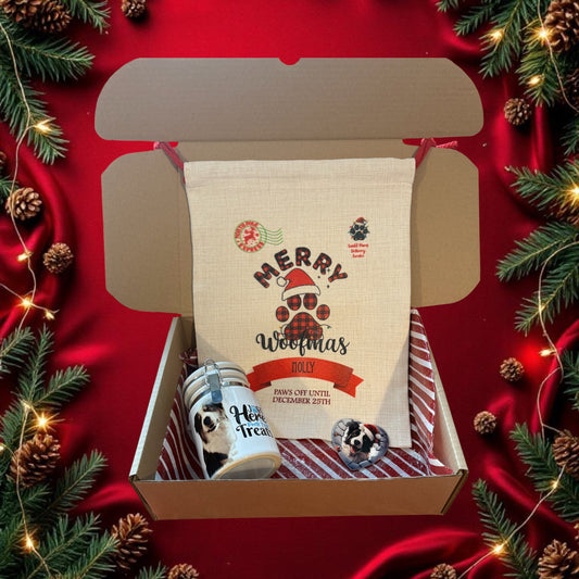 Christmas Box for Doggy