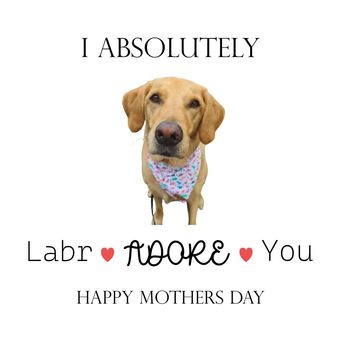 I Absolutely Labradoreyou Card