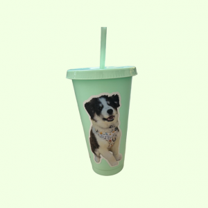 24oz Coloured Cold Cups