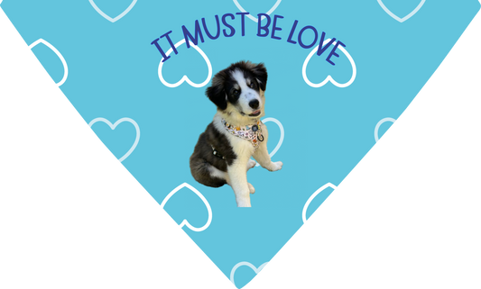 Dog Bandana
