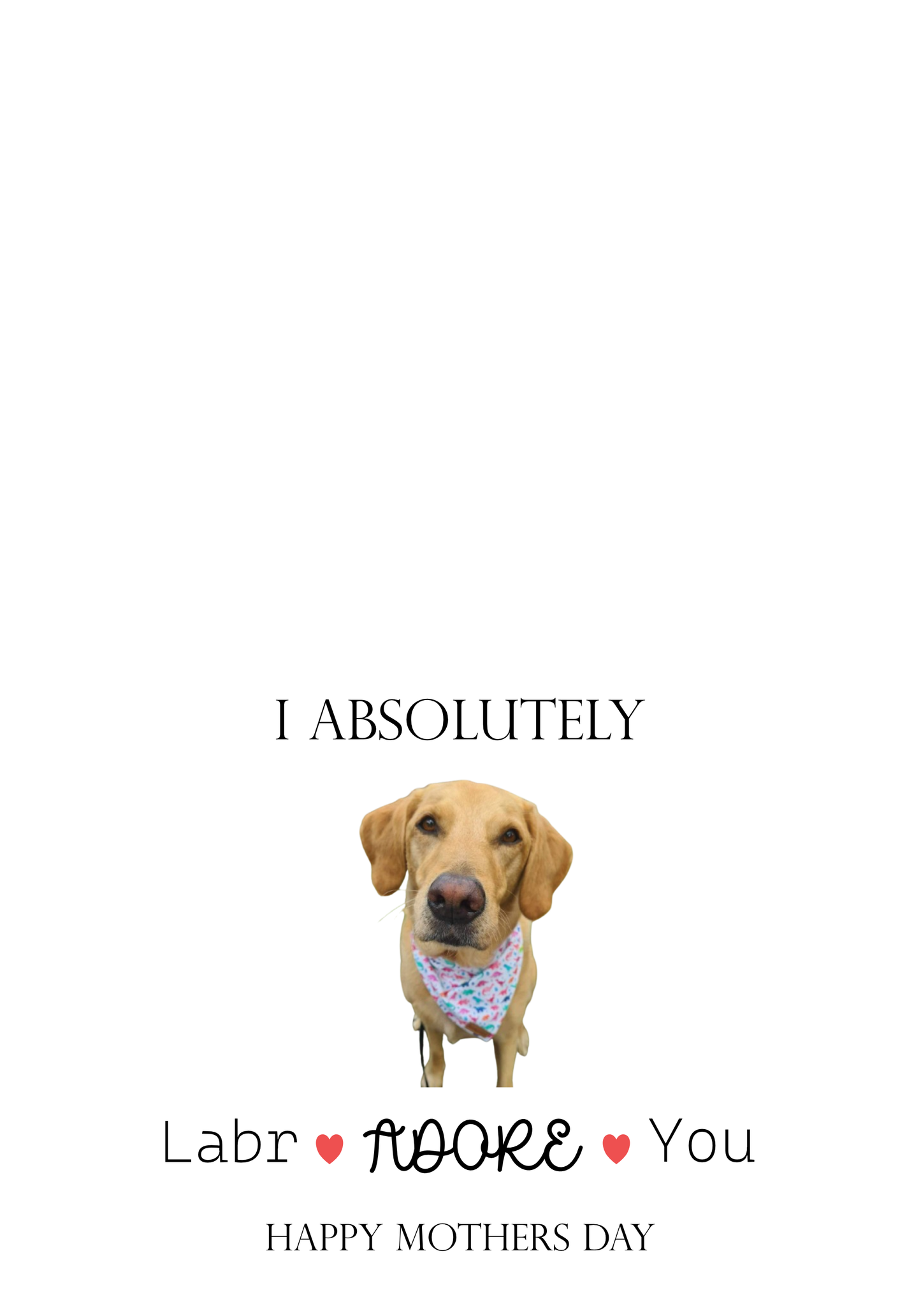 I Absolutely Labradoreyou Card