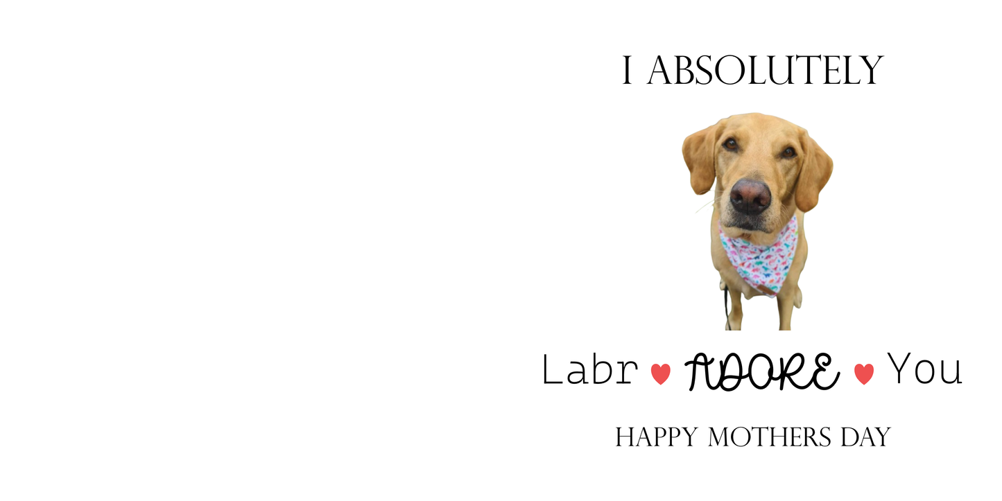 I Absolutely Labradoreyou Card