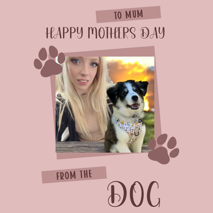 Mothers Day from the dog